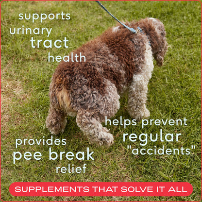 Native Pet - Cranberry Bladder Chews, Kidney & Urinary Supplement for Dog - Doglicious Bakery Bites