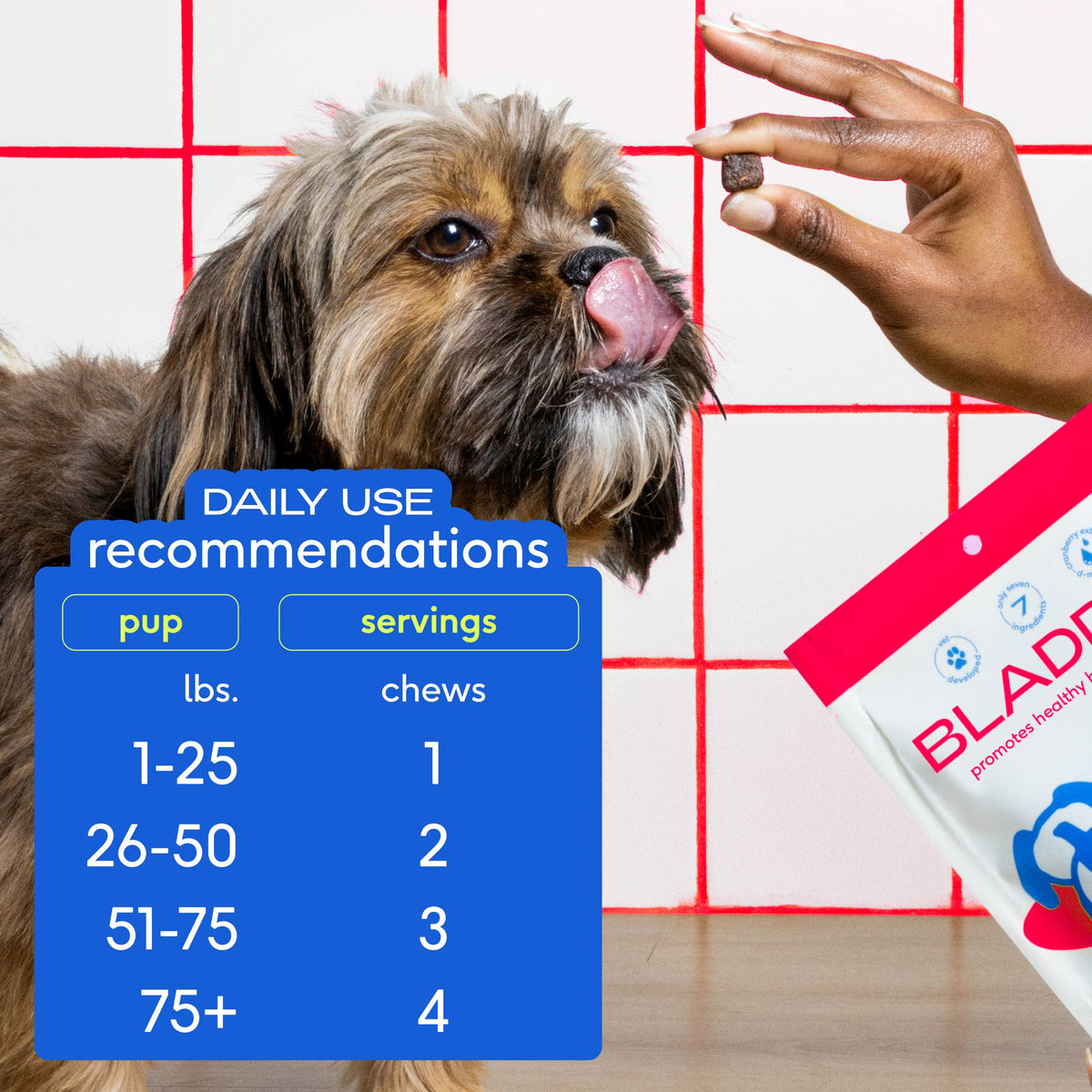 Native Pet - Cranberry Bladder Chews, Kidney & Urinary Supplement for Dog - Doglicious Bakery Bites