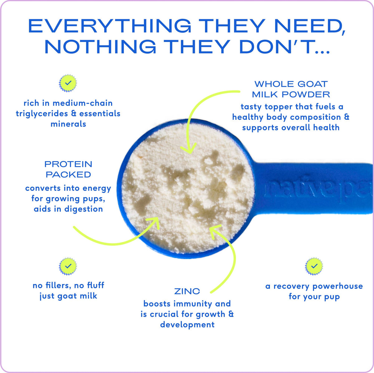 Native Pet - Goat Milk Powder Recovery & Energy Support for Active Dogs - Doglicious Bakery Bites