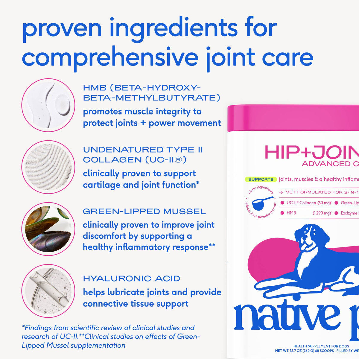 Native Pet - Hip+Joint Advanced Care Powder Joint, Muscle & Inflammation - Doglicious Bakery Bites