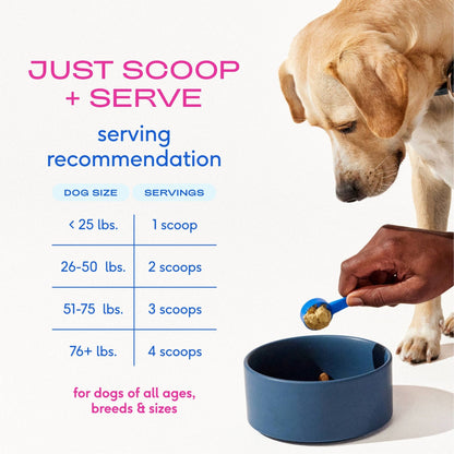 Native Pet - Hip+Joint Advanced Care Powder Joint, Muscle & Inflammation - Doglicious Bakery Bites