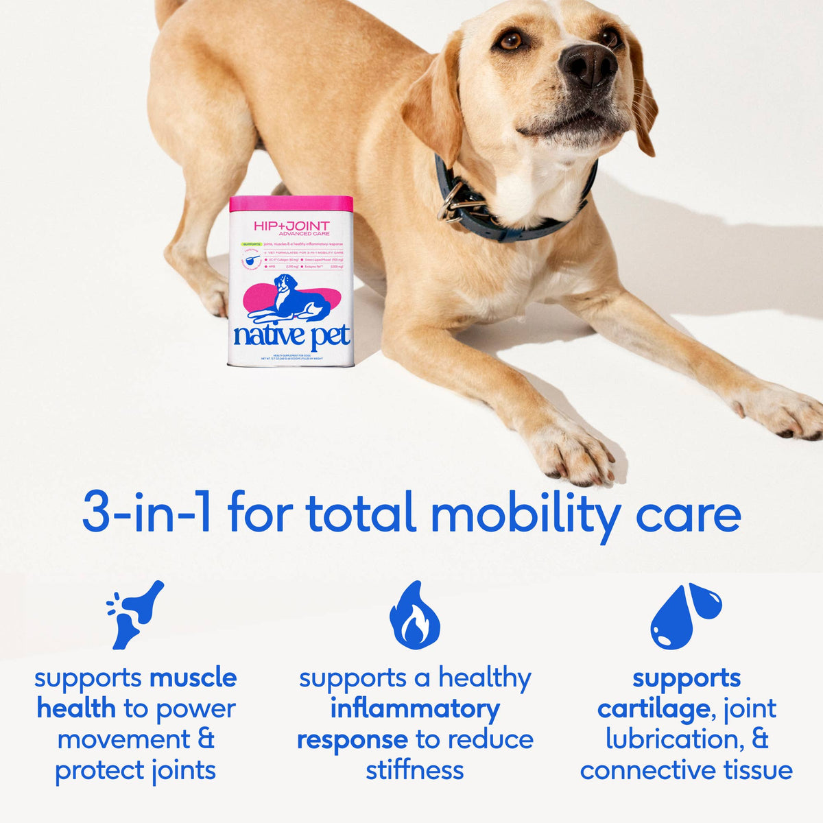 Native Pet - Hip+Joint Advanced Care Powder Joint, Muscle & Inflammation - Doglicious Bakery Bites