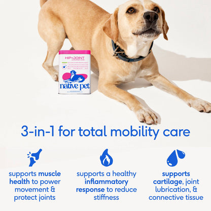 Native Pet - Hip+Joint Advanced Care Powder Joint, Muscle & Inflammation - Doglicious Bakery Bites
