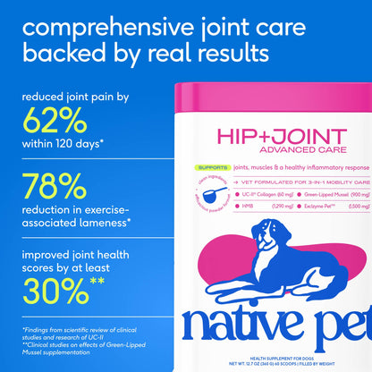Native Pet - Hip+Joint Advanced Care Powder Joint, Muscle & Inflammation - Doglicious Bakery Bites