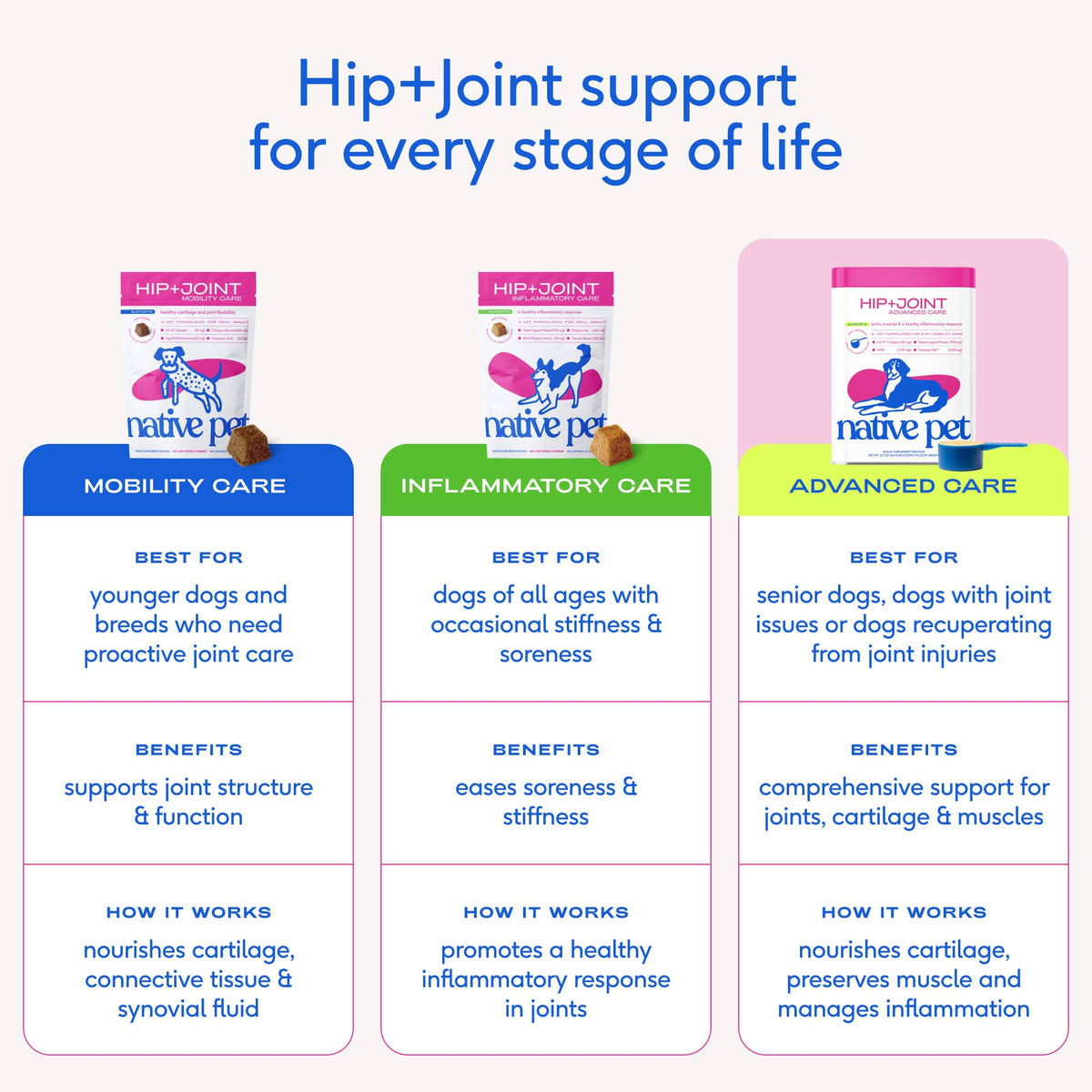 Native Pet - Hip+Joint Advanced Care Powder Joint, Muscle & Inflammation - Doglicious Bakery Bites