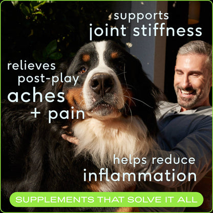 Native Pet - Hip+Joint Inflammatory Care Chews, Hip & Joint Supplement - Doglicious Bakery Bites