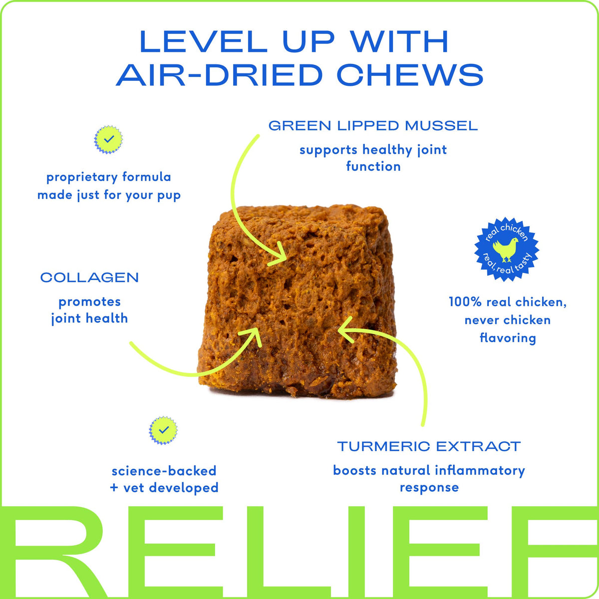 Native Pet - Hip+Joint Inflammatory Care Chews, Hip & Joint Supplement - Doglicious Bakery Bites