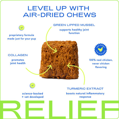 Native Pet - Hip+Joint Inflammatory Care Chews, Hip & Joint Supplement - Doglicious Bakery Bites