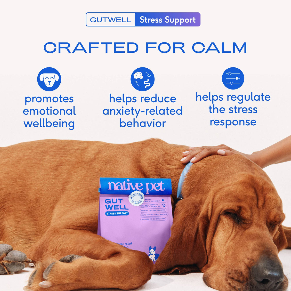 Native Pet - Native Pet GutWell Stress Support, Stress Relief & Calming - Doglicious Bakery Bites