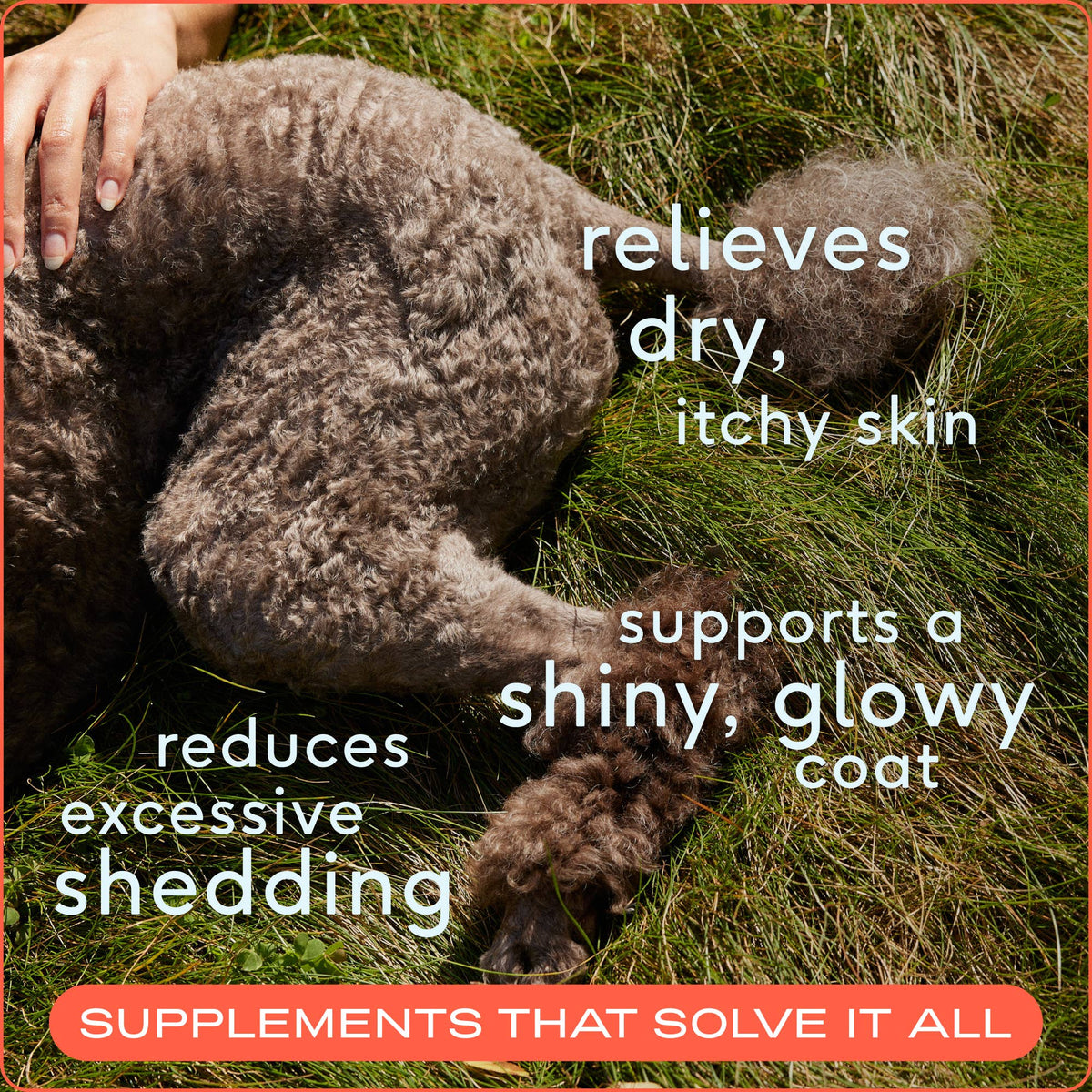Native Pet - Omega-3 Fish Oil, Skin & Coat Health Supplement for Dogs - Doglicious Bakery Bites