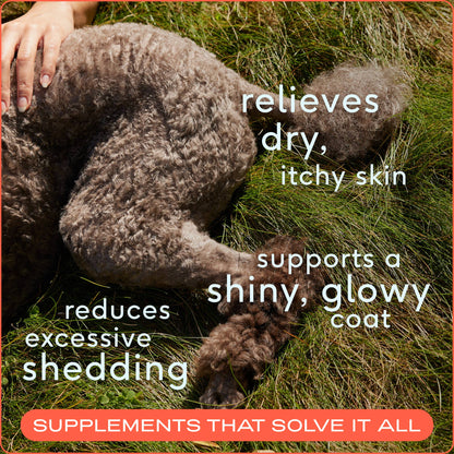 Native Pet - Omega-3 Fish Oil, Skin & Coat Health Supplement for Dogs - Doglicious Bakery Bites