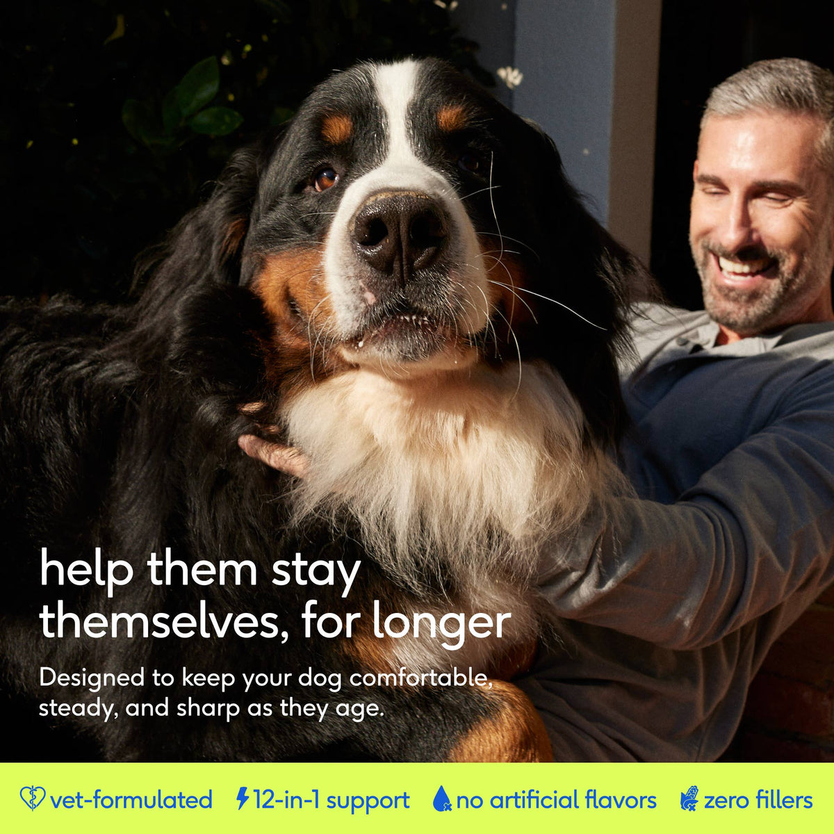 Native Pet - Senior Daily 12-in-1 Multivitamin Powder Supplement for Dogs - Doglicious Bakery Bites