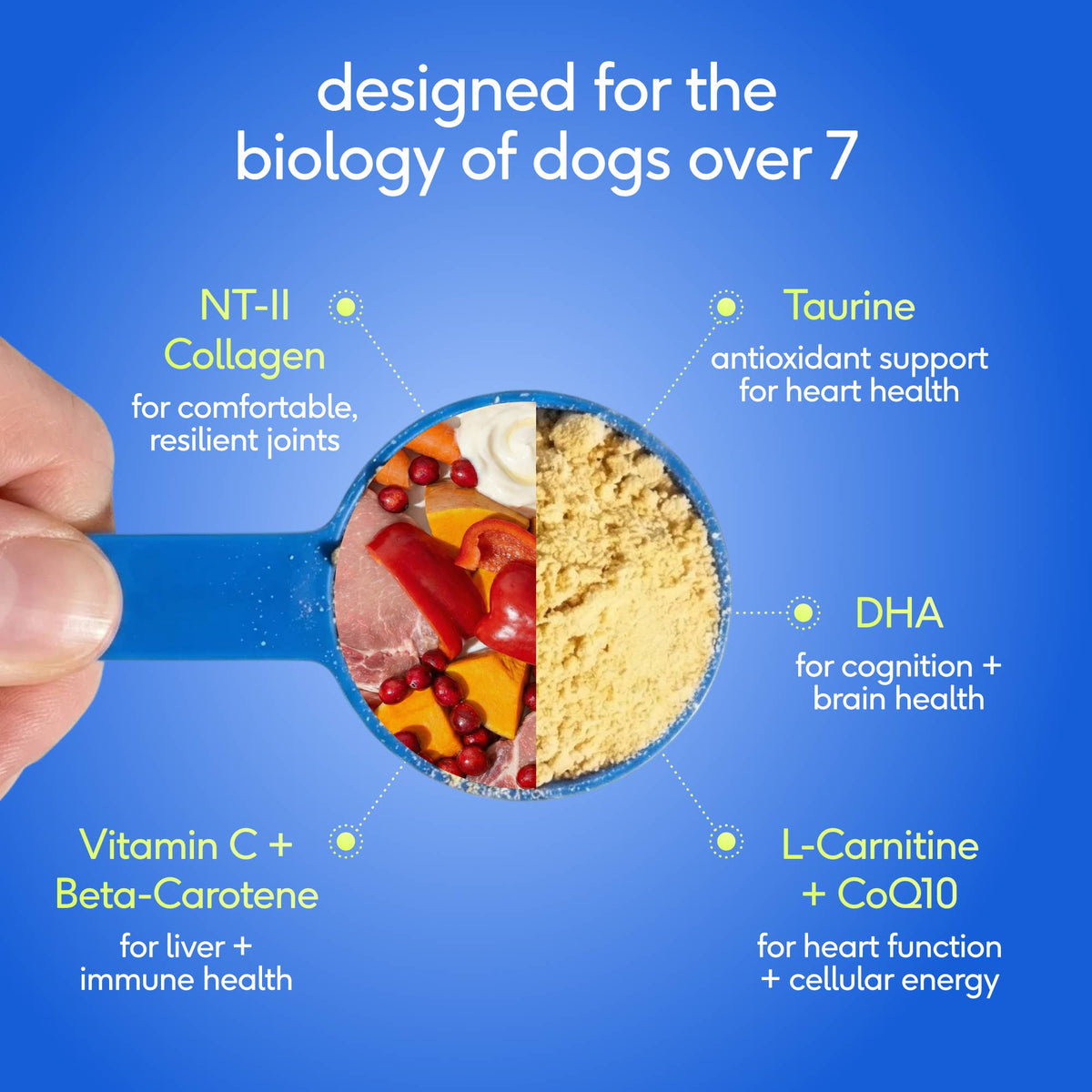 Native Pet - Senior Daily 12-in-1 Multivitamin Powder Supplement for Dogs - Doglicious Bakery Bites