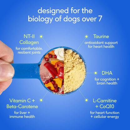 Native Pet - Senior Daily 12-in-1 Multivitamin Powder Supplement for Dogs - Doglicious Bakery Bites