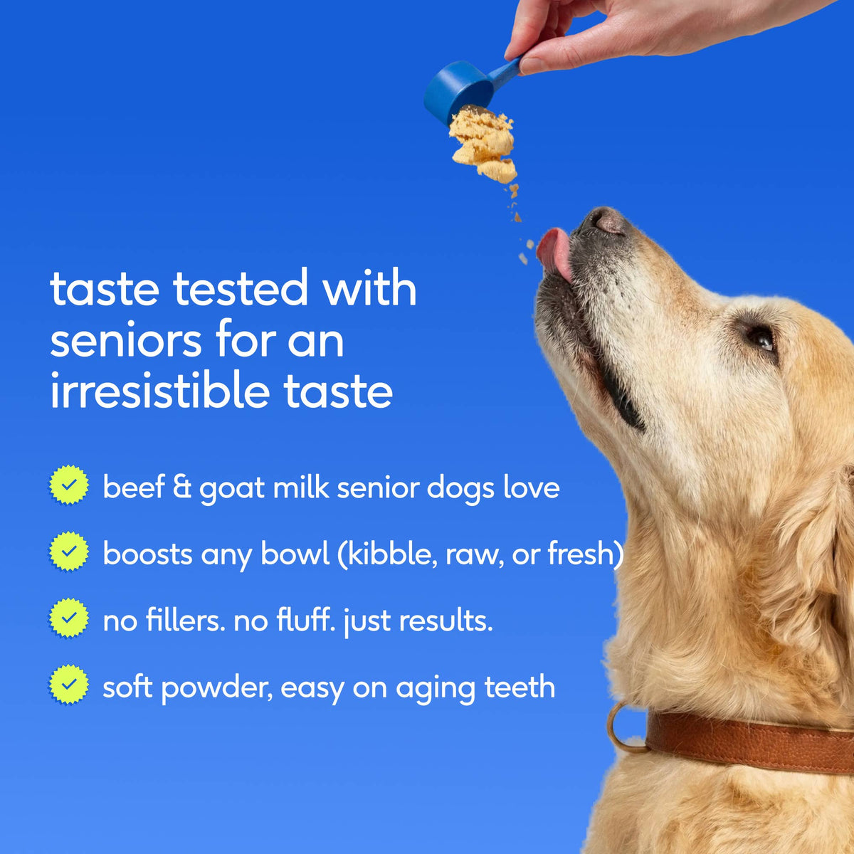 Native Pet - Senior Daily 12-in-1 Multivitamin Powder Supplement for Dogs - Doglicious Bakery Bites