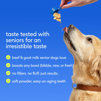 Native Pet - Senior Daily 12-in-1 Multivitamin Powder Supplement for Dogs - Doglicious Bakery Bites