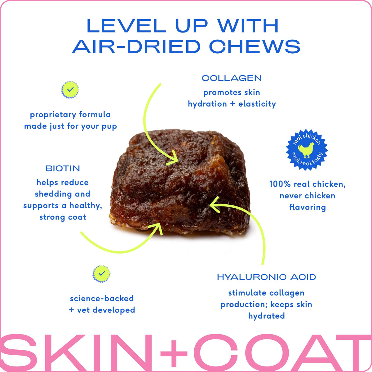 Native Pet - Skin + Coat Chews, Skin & Coat Supplement for Dogs - Doglicious Bakery Bites