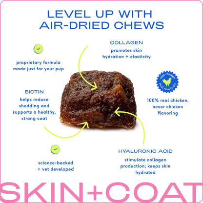 Native Pet - Skin + Coat Chews, Skin & Coat Supplement for Dogs - Doglicious Bakery Bites