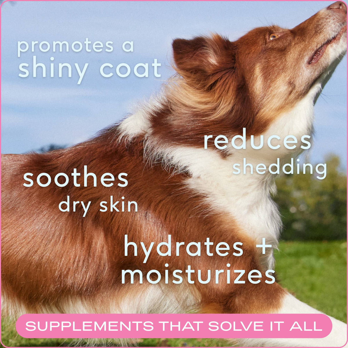 Native Pet - Skin + Coat Chews, Skin & Coat Supplement for Dogs - Doglicious Bakery Bites