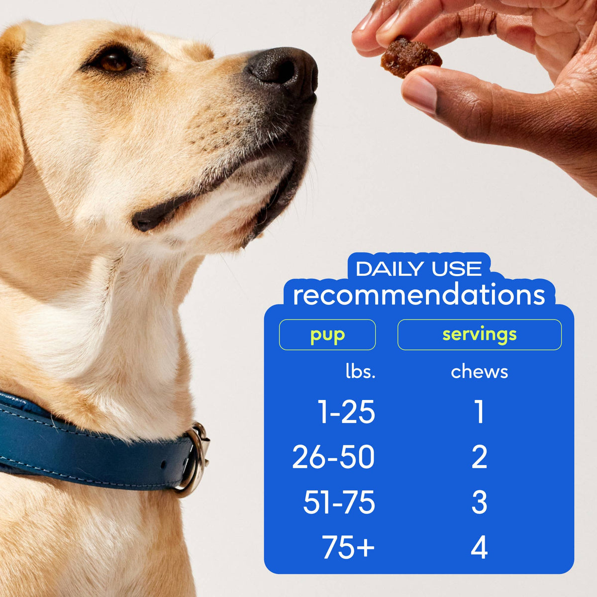 Native Pet - Skin + Coat Chews, Skin & Coat Supplement for Dogs - Doglicious Bakery Bites