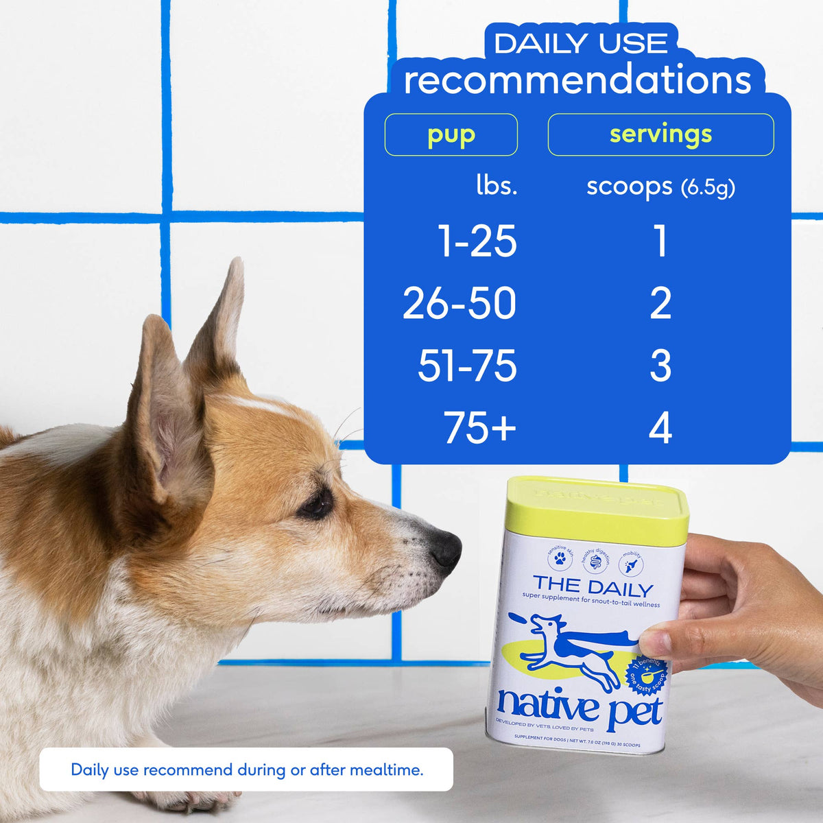 Native Pet - The Daily Powder Supplement, 11-in-1 Multivitamins for Dogs - Doglicious Bakery Bites
