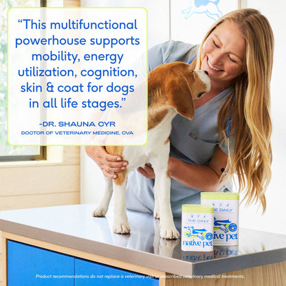 Native Pet - The Daily Powder Supplement, 11-in-1 Multivitamins for Dogs - Doglicious Bakery Bites