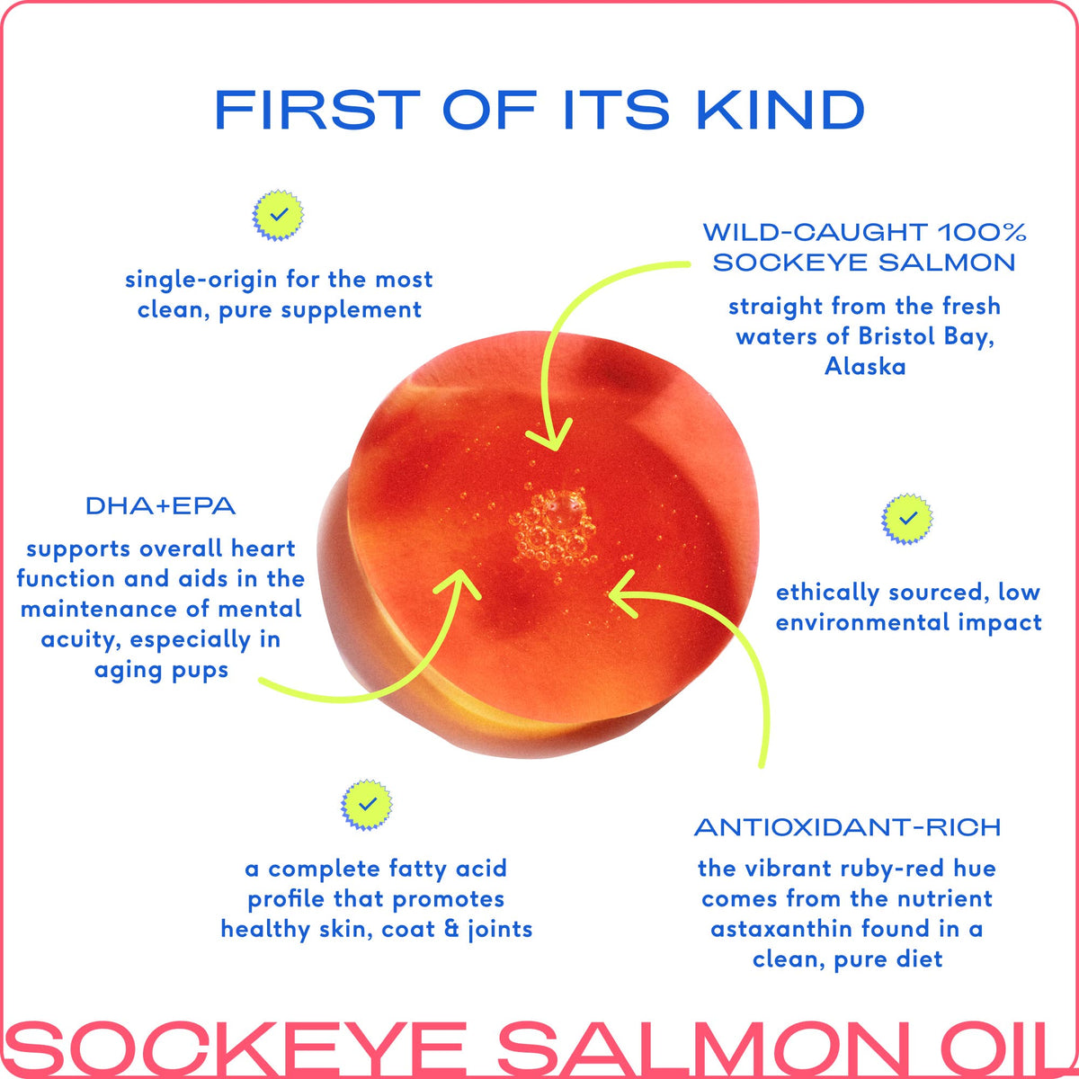 Native Pet - Wild-Caught Alaskan Sockeye Salmon Oil, Skin & Coat Health - Doglicious Bakery Bites