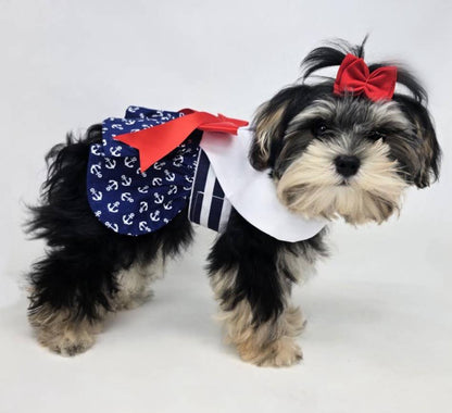 Nautical Dog Dress w/ Matching Leash - Doglicious Bakery Bites