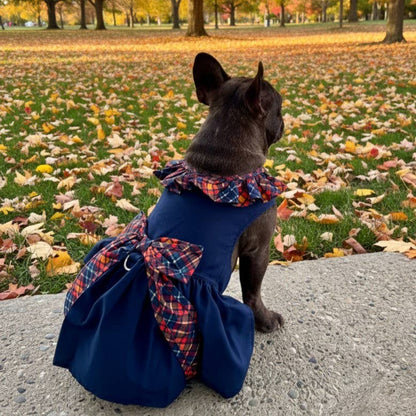 Navy Dog Dress with Plaid Ruffles - Doglicious Bakery Bites