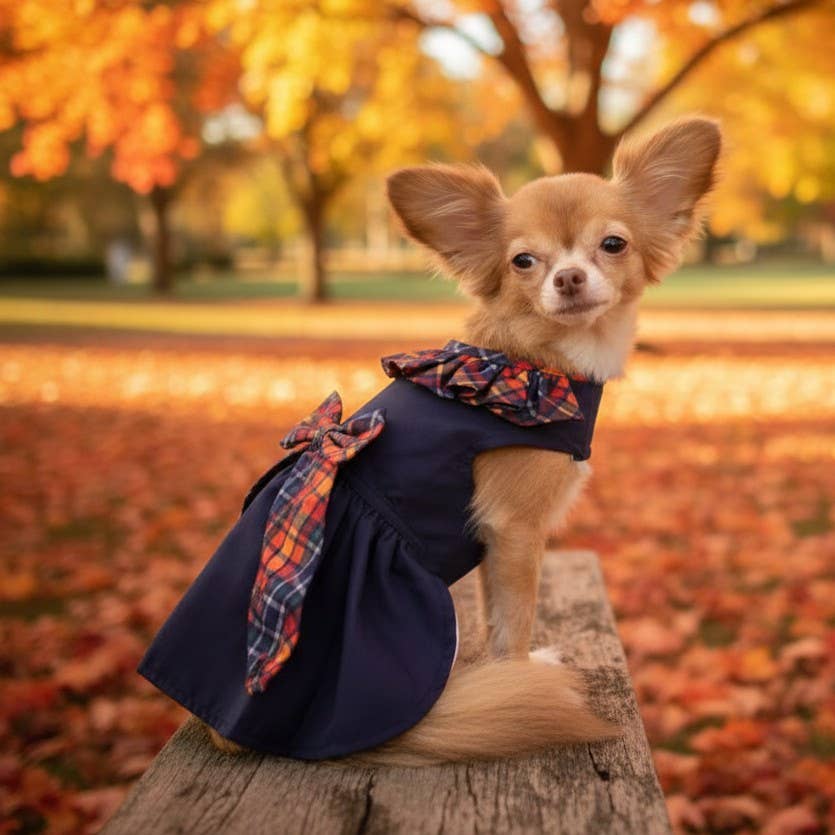 Navy Dog Dress with Plaid Ruffles - Doglicious Bakery Bites
