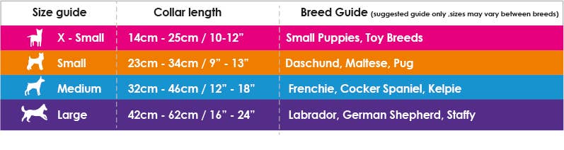 Neoprene Dog Collar - PONGO - Doglicious Bakery Bites