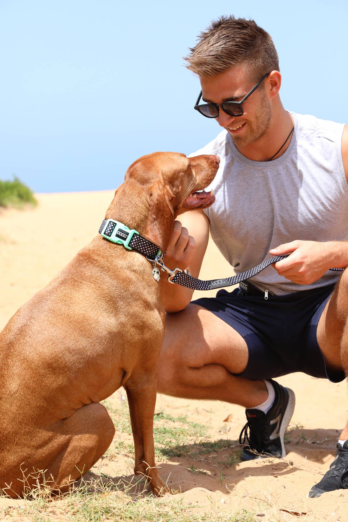 Neoprene Dog Leash - PONGO - Doglicious Bakery Bites