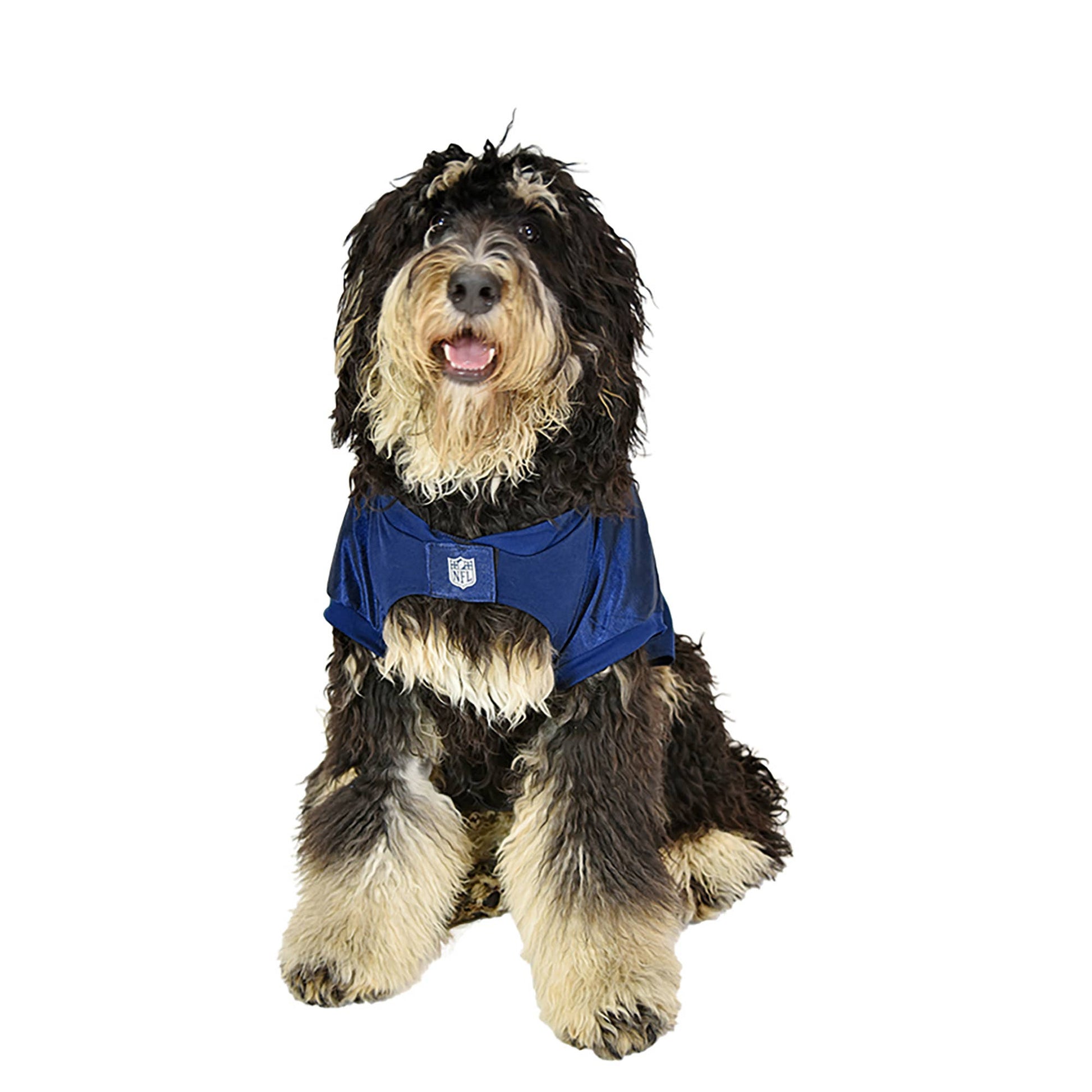 NFL Denver Broncos Big Pet Stretch Jersey - Doglicious Bakery Bites