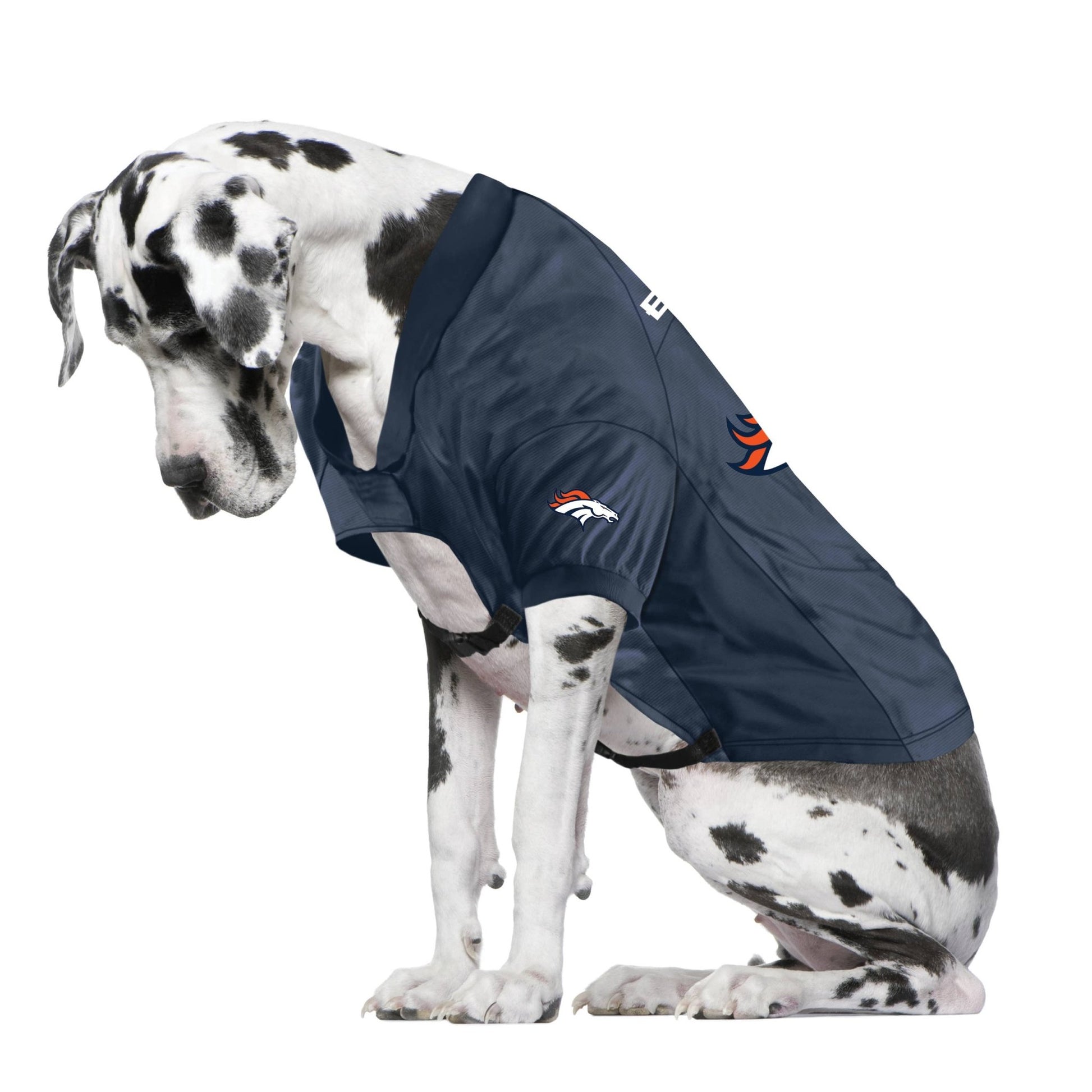 NFL Denver Broncos Big Pet Stretch Jersey - Doglicious Bakery Bites