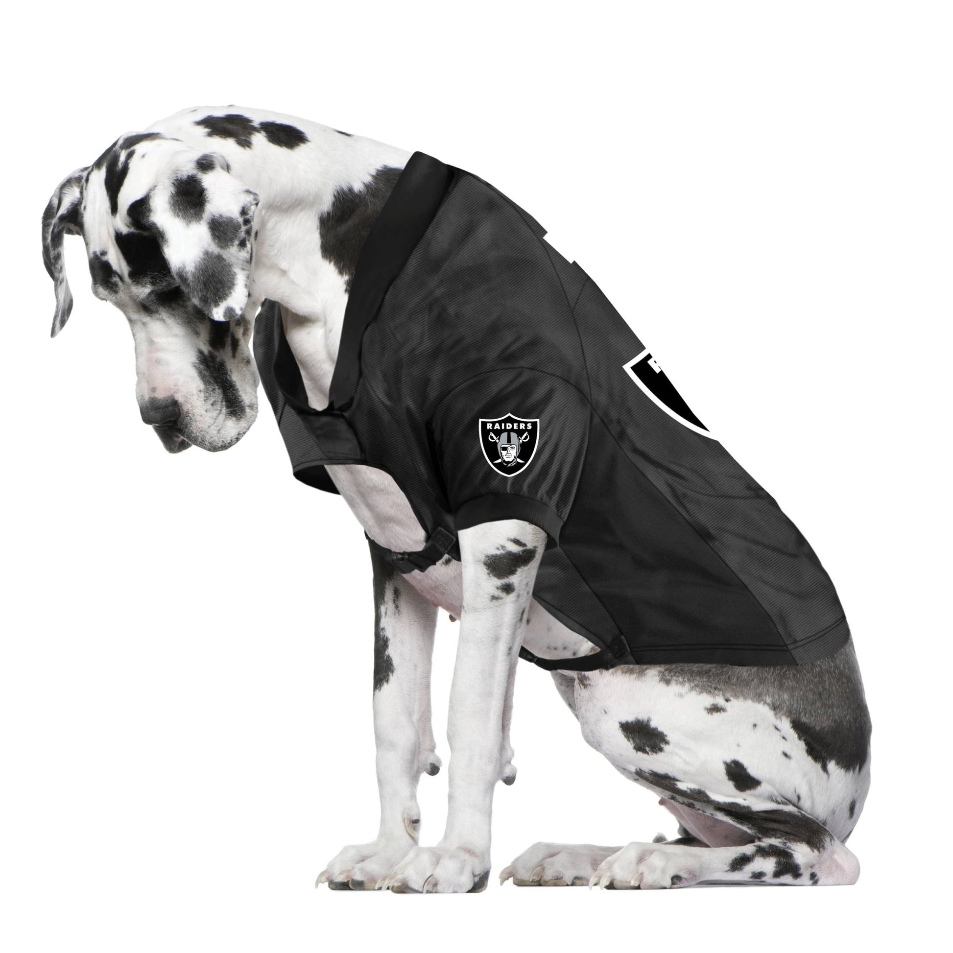 NFL Las Vegas Raiders Big Pet Stretch Jersey - LV Logo - Doglicious Bakery Bites