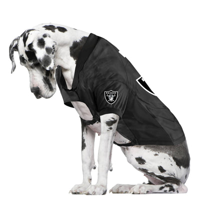 NFL Las Vegas Raiders Big Pet Stretch Jersey - LV Logo - Doglicious Bakery Bites