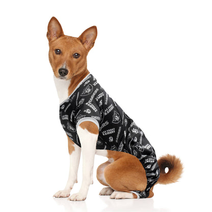 NFL Las Vegas Raiders Pet Pajamas - Doglicious Bakery Bites