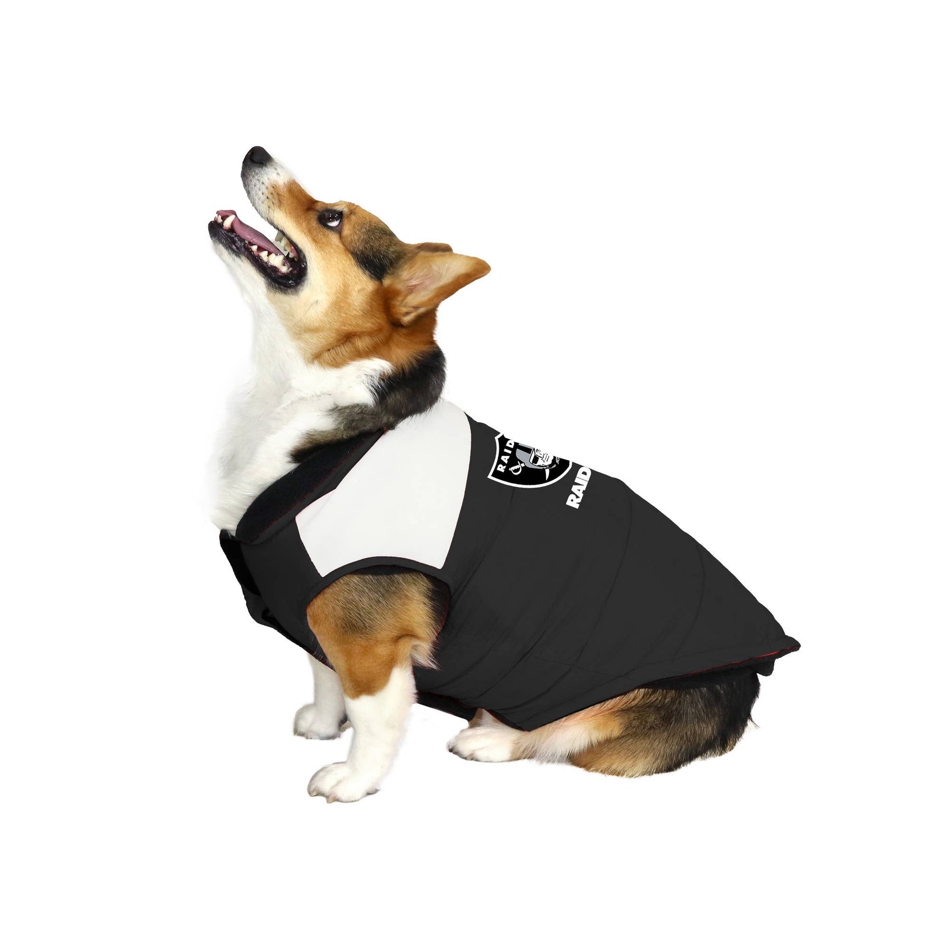 NFL Las Vegas Raiders Pet Parka Puffer Vest - Doglicious Bakery Bites