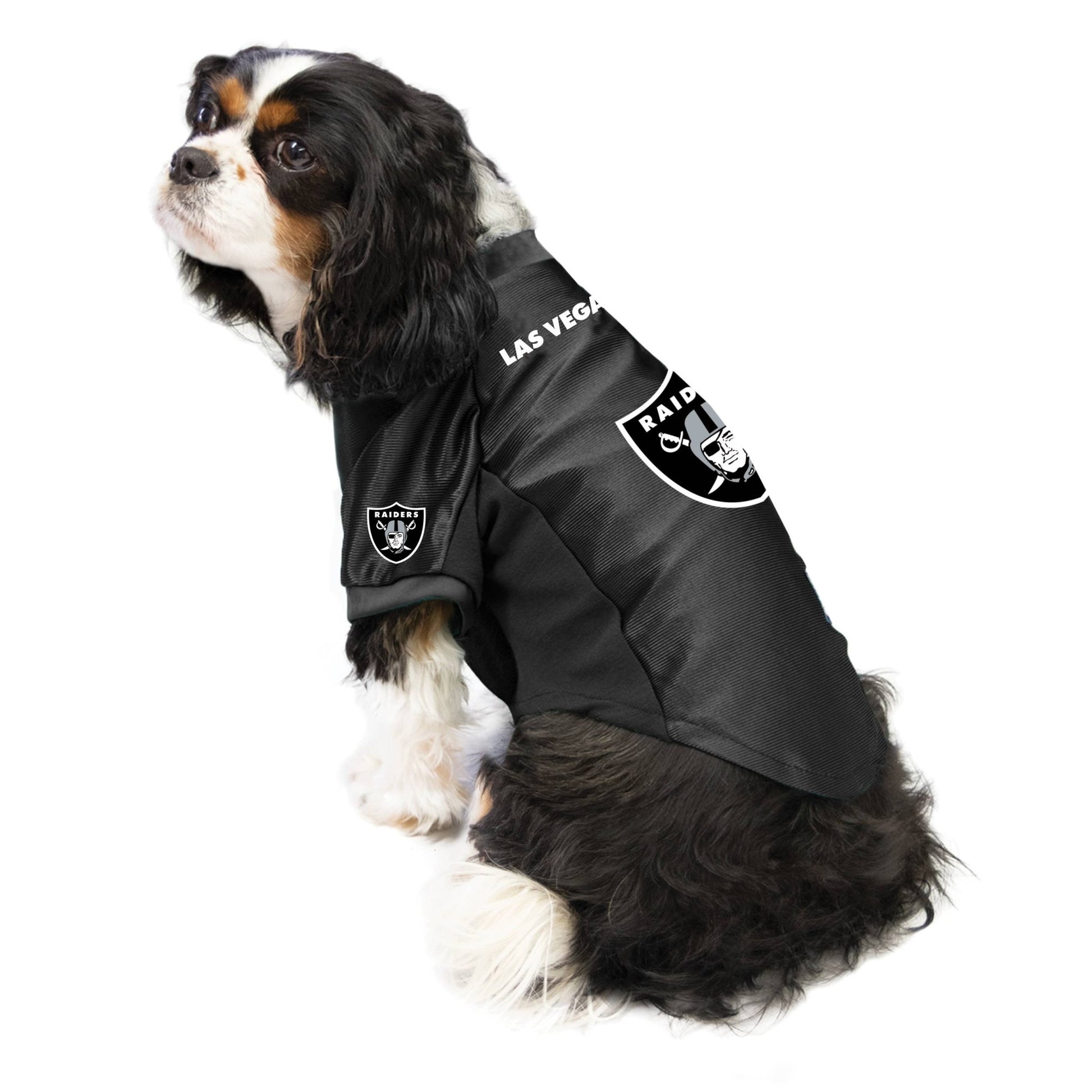 NFL Las Vegas Raiders Pet Stretch Jersey - LV Logo - Doglicious Bakery Bites