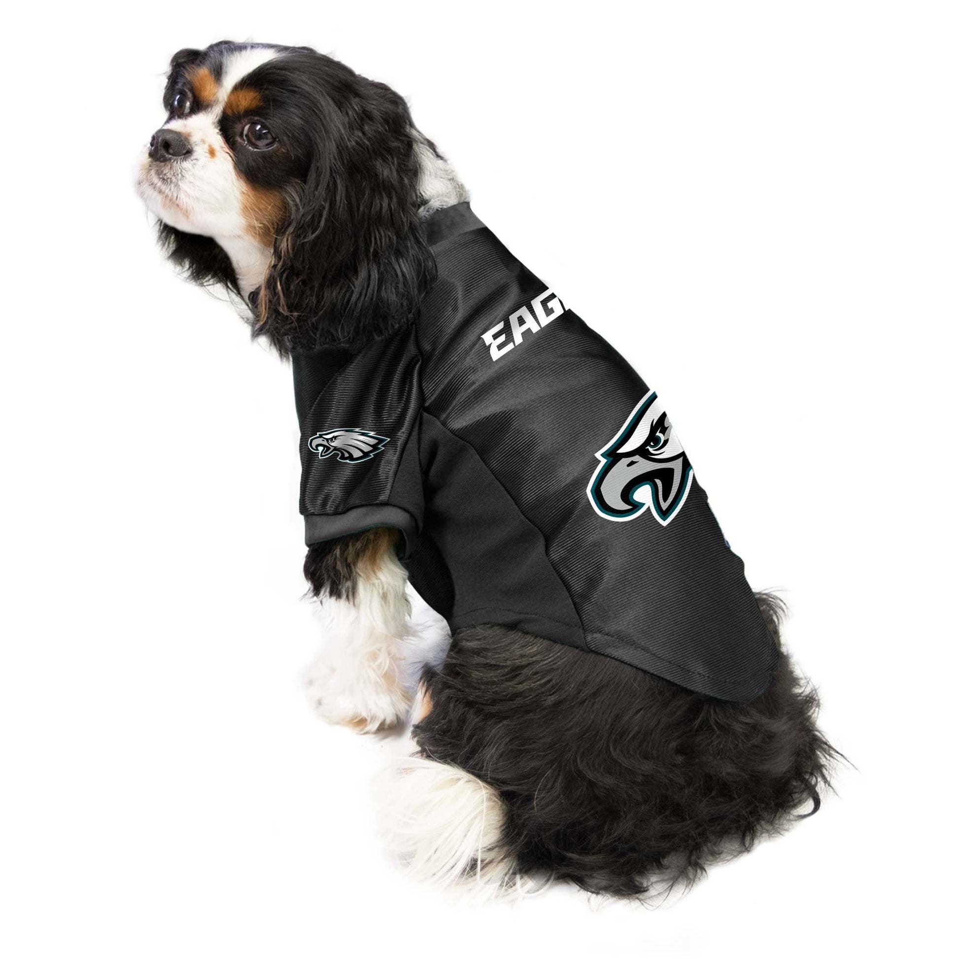 NFL Philadelphia Eagles Pet Stretch Jersey - Doglicious Bakery Bites