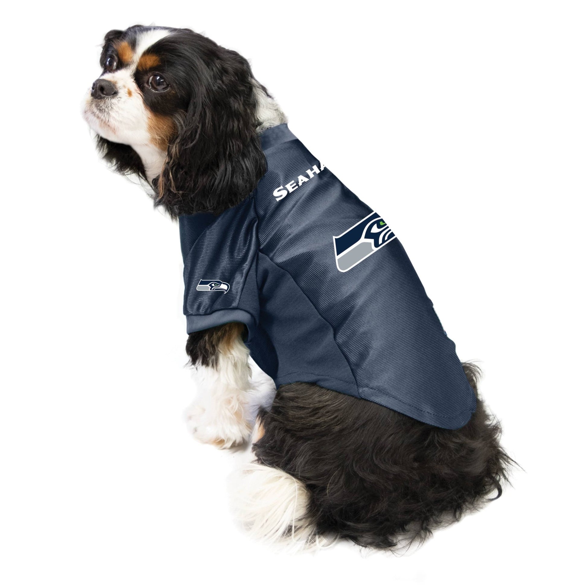 NFL Seattle Seahawks Pet Stretch Jersey - Doglicious Bakery Bites