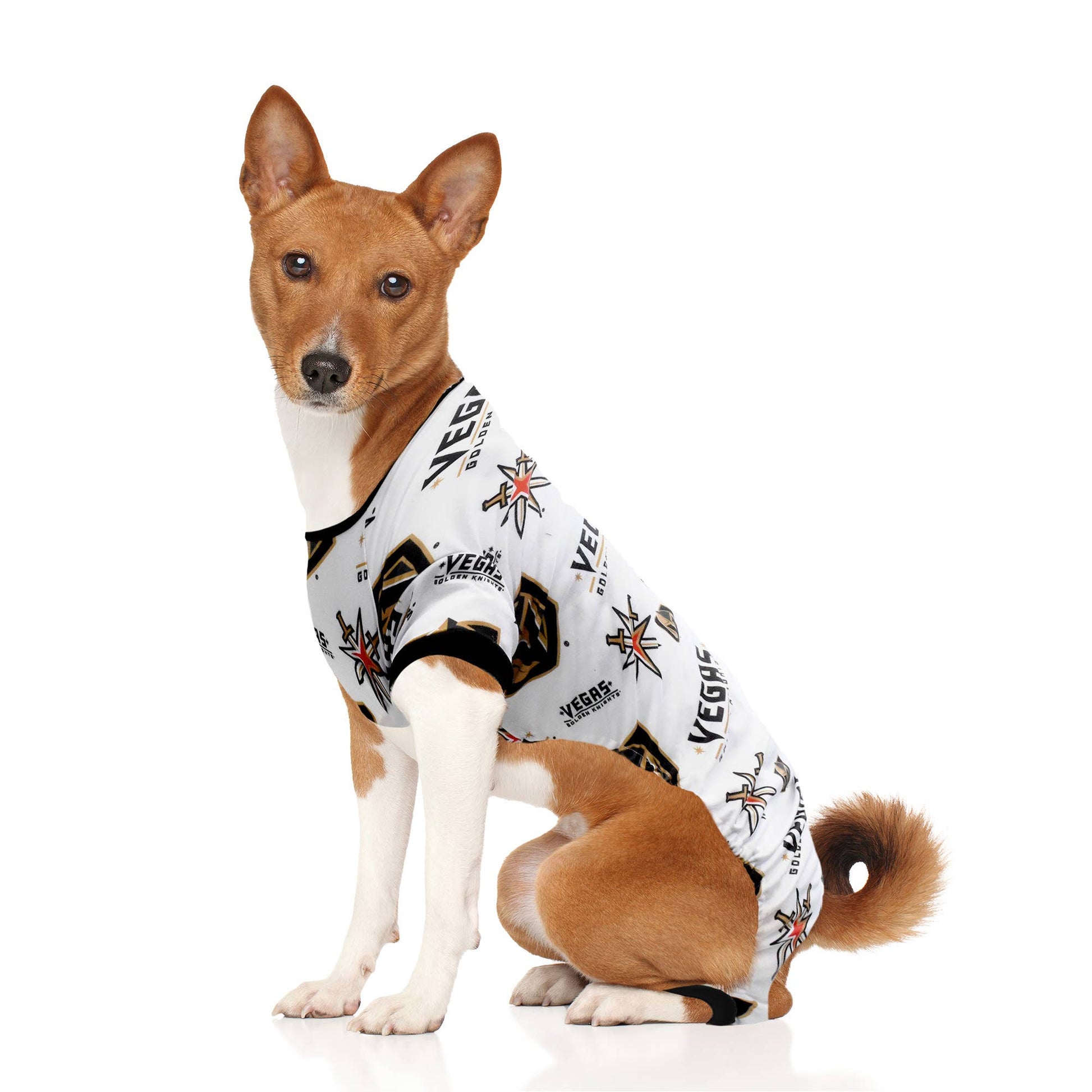 NHL Vegas Golden Knights Pet Pajamas - Doglicious Bakery Bites