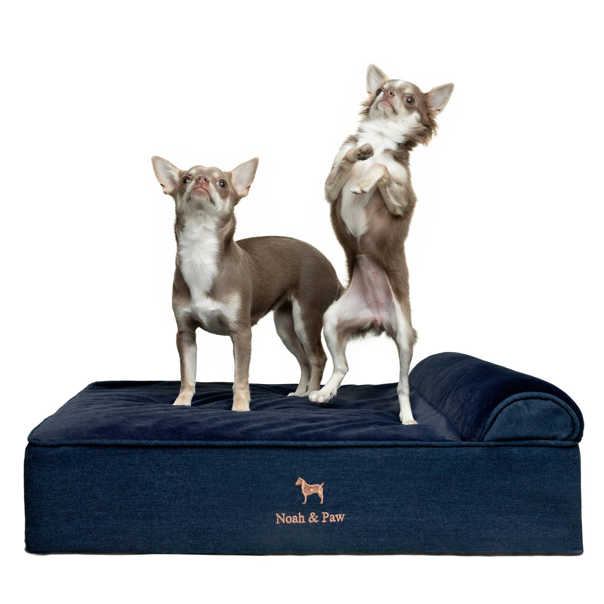 NOAH AND PAW LLC - Denim Orthopedic Dog Bed, Cooling Gel Memory Foam, Classic - Doglicious Bakery Bites