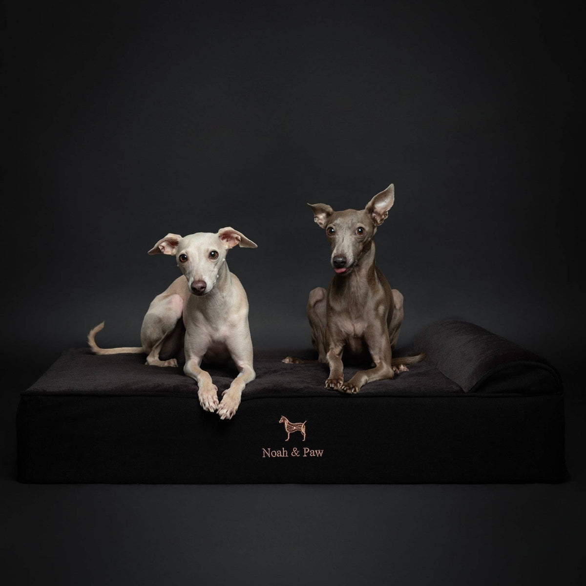 NOAH AND PAW LLC - Denim Orthopedic Dog Bed, Cooling Gel Memory Foam, Classic - Doglicious Bakery Bites