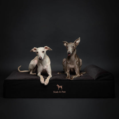 NOAH AND PAW LLC - Denim Orthopedic Dog Bed, Cooling Gel Memory Foam, Classic - Doglicious Bakery Bites