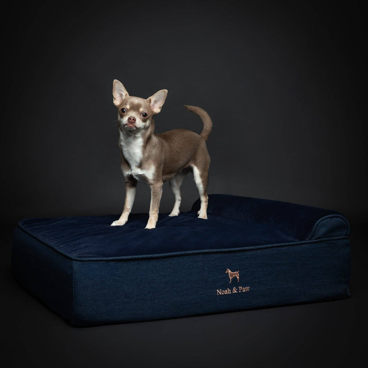 NOAH AND PAW LLC - Denim Orthopedic Dog Bed, Cooling Gel Memory Foam, Classic - Doglicious Bakery Bites