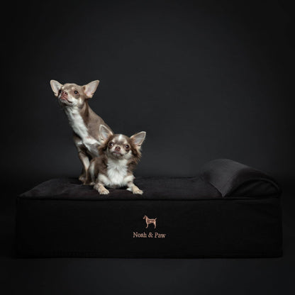 NOAH AND PAW LLC - Denim Orthopedic Dog Bed, Cooling Gel Memory Foam, Classic - Doglicious Bakery Bites