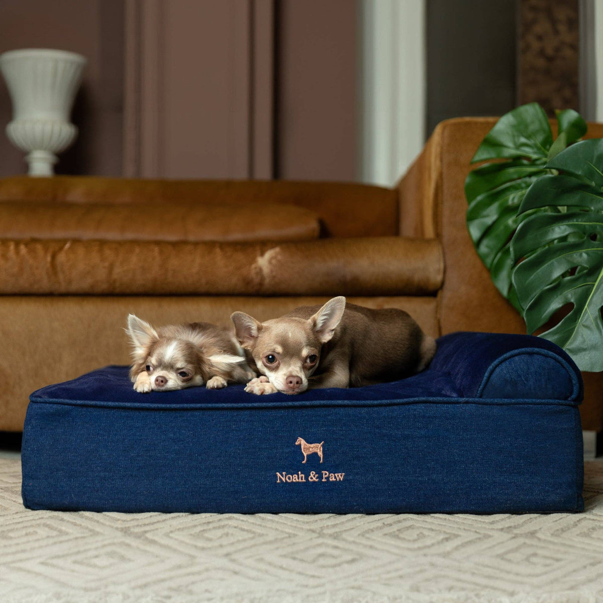 NOAH AND PAW LLC - Denim Orthopedic Dog Bed, Cooling Gel Memory Foam, Classic - Doglicious Bakery Bites