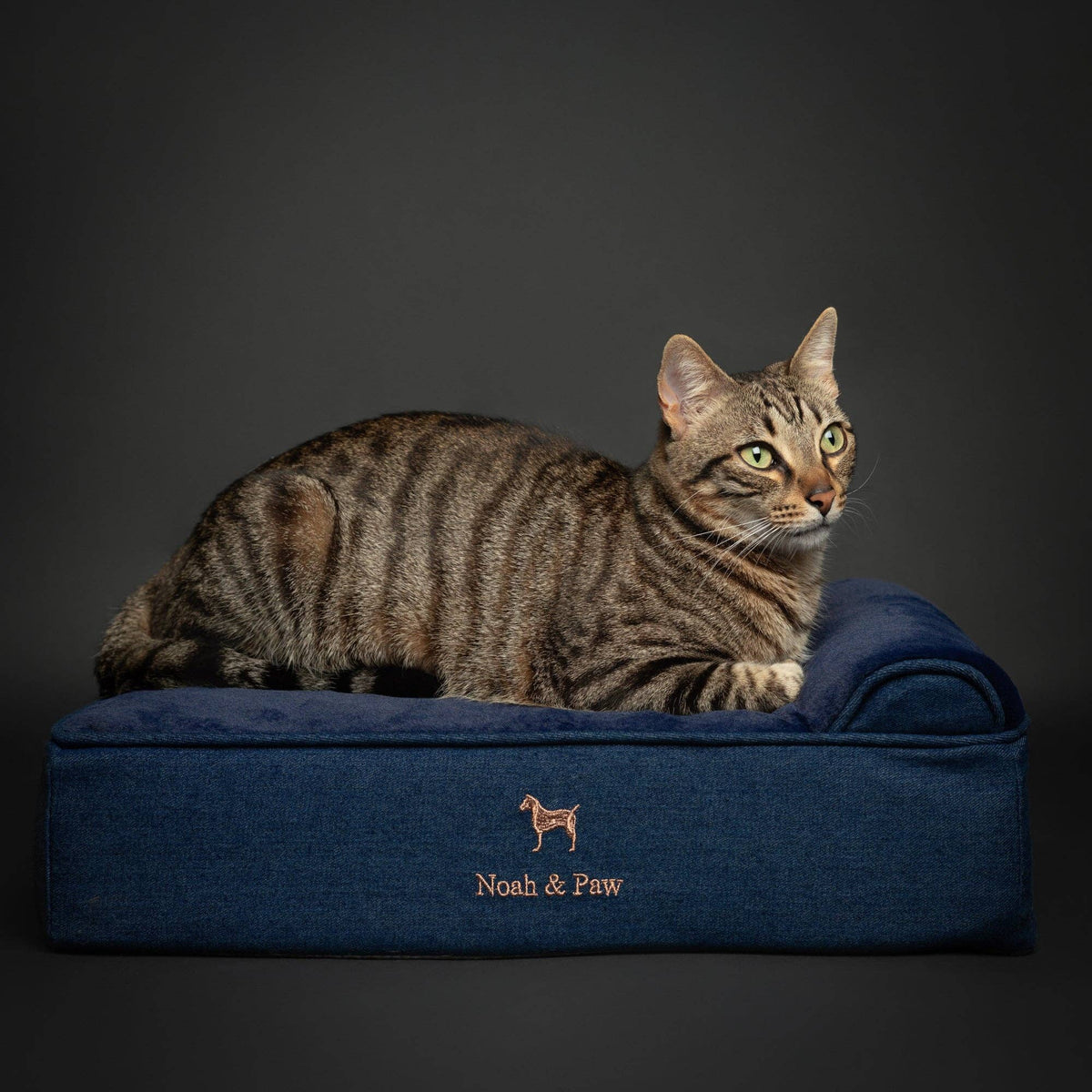 NOAH AND PAW LLC - Denim Orthopedic Dog Bed, Cooling Gel Memory Foam, Classic - Doglicious Bakery Bites