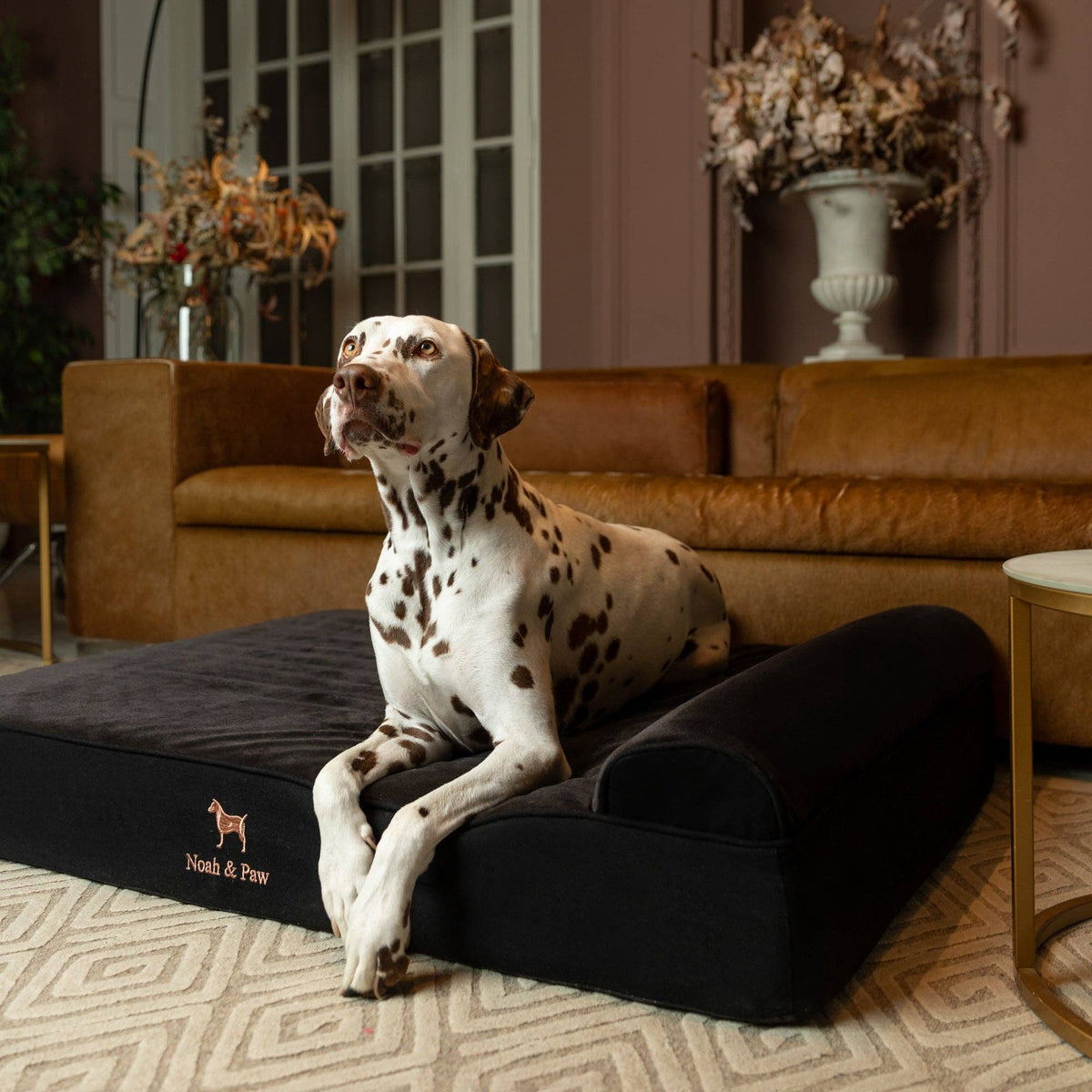 NOAH AND PAW LLC - Denim Orthopedic Dog Bed, Cooling Gel Memory Foam, Classic - Doglicious Bakery Bites